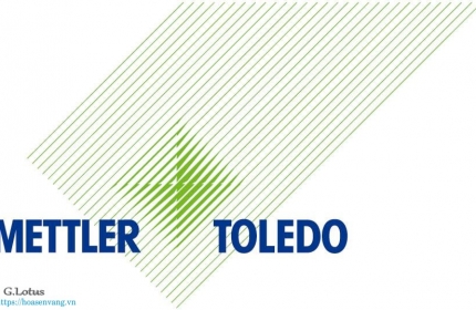 Mettler Toledo instrument